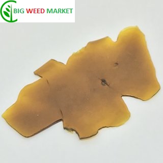 Russian Rhino Shatter