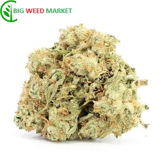 Buy Monster Cookies Weed Online Europe